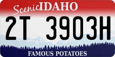 ID license plate 2T3903H