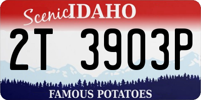 ID license plate 2T3903P