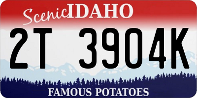 ID license plate 2T3904K