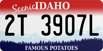 ID license plate 2T3907L