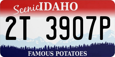ID license plate 2T3907P