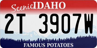 ID license plate 2T3907W