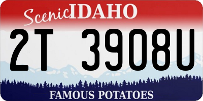 ID license plate 2T3908U