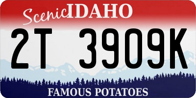 ID license plate 2T3909K