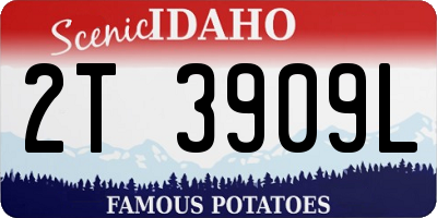 ID license plate 2T3909L