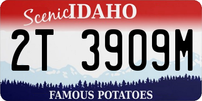 ID license plate 2T3909M