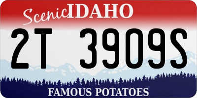 ID license plate 2T3909S