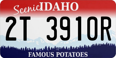 ID license plate 2T3910R