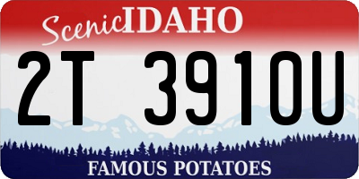 ID license plate 2T3910U