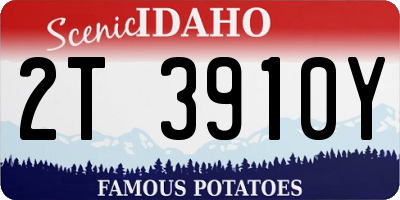 ID license plate 2T3910Y
