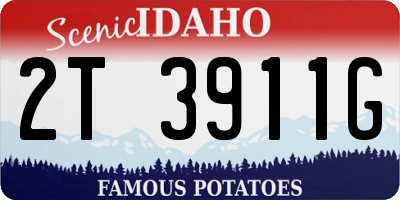 ID license plate 2T3911G