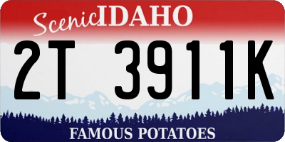 ID license plate 2T3911K