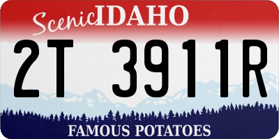 ID license plate 2T3911R