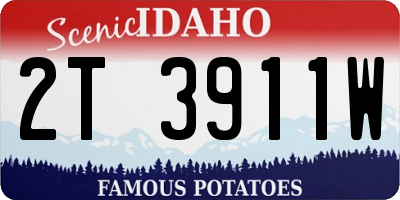 ID license plate 2T3911W
