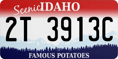 ID license plate 2T3913C