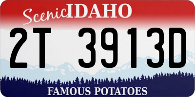 ID license plate 2T3913D
