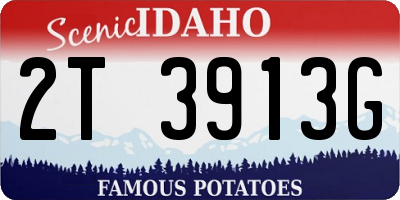 ID license plate 2T3913G