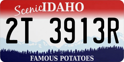 ID license plate 2T3913R