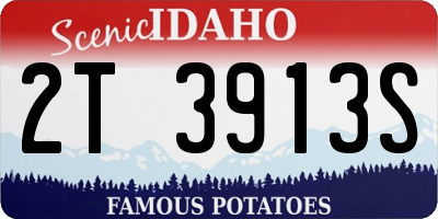 ID license plate 2T3913S