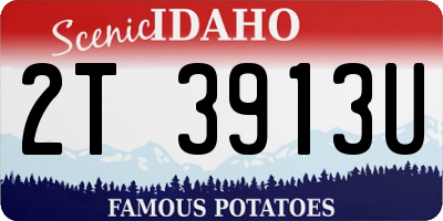 ID license plate 2T3913U