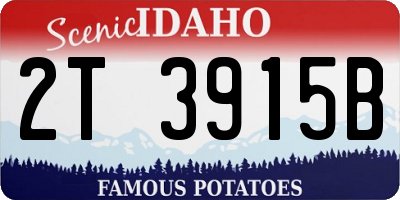 ID license plate 2T3915B