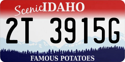 ID license plate 2T3915G