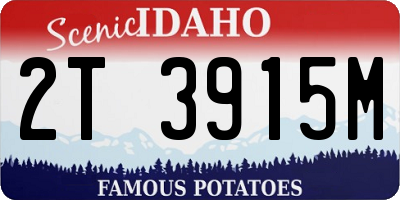 ID license plate 2T3915M