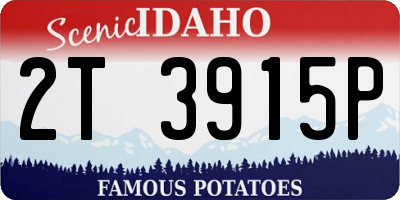 ID license plate 2T3915P