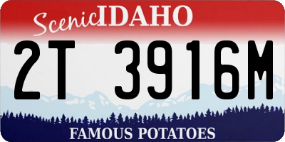 ID license plate 2T3916M