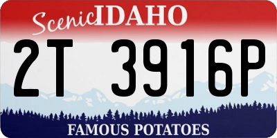 ID license plate 2T3916P