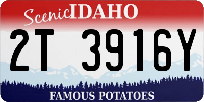 ID license plate 2T3916Y