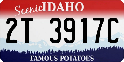 ID license plate 2T3917C