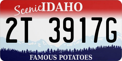 ID license plate 2T3917G