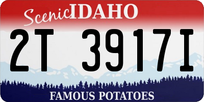 ID license plate 2T3917I