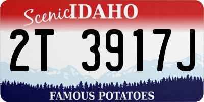 ID license plate 2T3917J