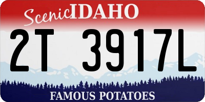ID license plate 2T3917L
