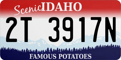 ID license plate 2T3917N