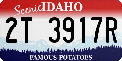 ID license plate 2T3917R