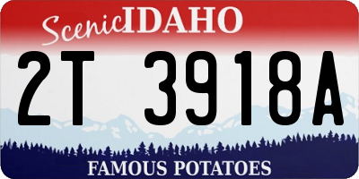 ID license plate 2T3918A