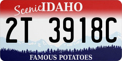 ID license plate 2T3918C