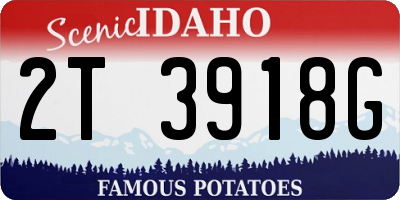 ID license plate 2T3918G