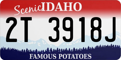 ID license plate 2T3918J