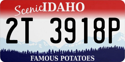 ID license plate 2T3918P