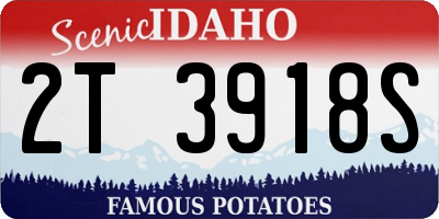 ID license plate 2T3918S