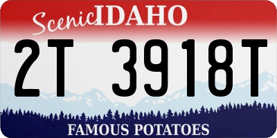ID license plate 2T3918T