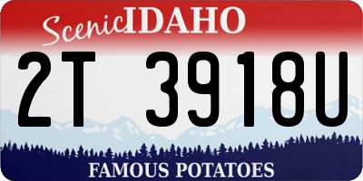 ID license plate 2T3918U