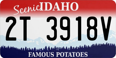 ID license plate 2T3918V