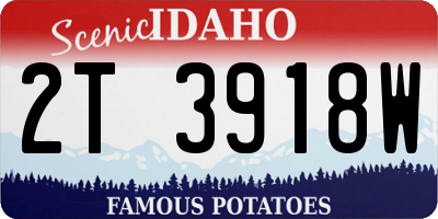 ID license plate 2T3918W