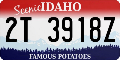 ID license plate 2T3918Z