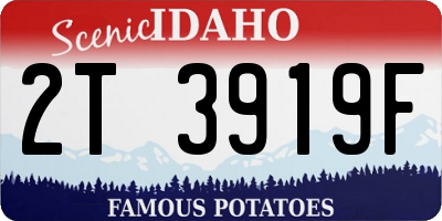 ID license plate 2T3919F